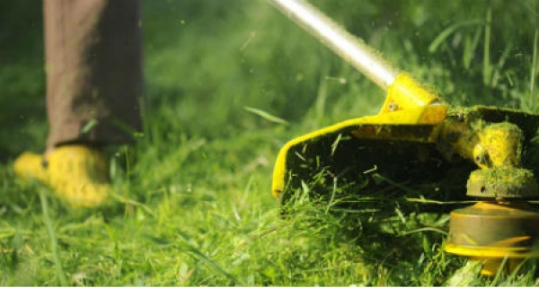 Ventaso Servi&ccedil;os de Jardinagem LDA