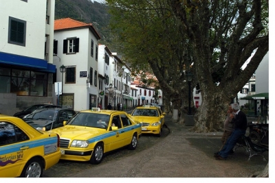 Jos&eacute; Moreira &amp; Am&acirc;ndio Moreira LDA