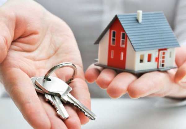 imoilha - compra, venda, constru&ccedil;&atilde;o e promo&ccedil;&atilde;o imobili&aacute;ria lda