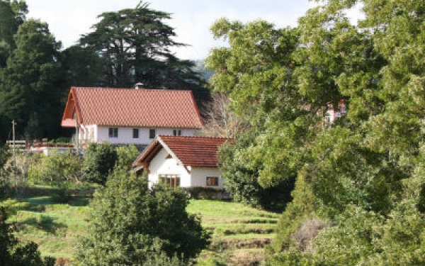 Quinta do P&acirc;ntano - Turismo de Habita&ccedil;&atilde;o, Sociedade Unipessoal LDA